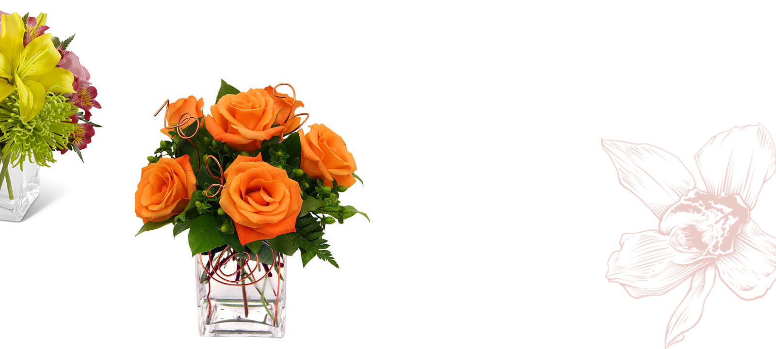 Slider Image 1