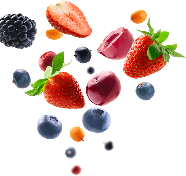 Organic Banner