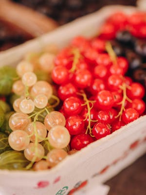 Understanding Organic Labels: What You Need to Know