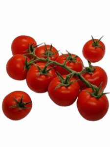 Demo Organic Product 4