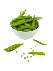 Demo Organic Product 7