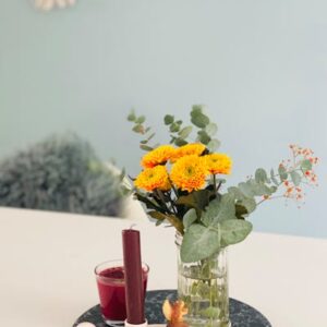 Highlight Plant 3