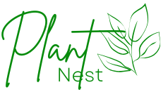 plant-nest